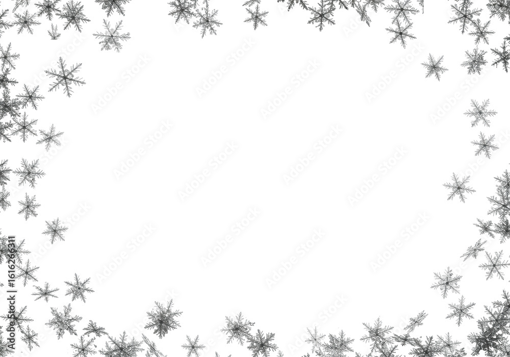Top-down view of delicate, translucent grey snowflakes with intricate crystalline structures, meticulously scattered on a pristine transparent plain with ample copy space, illuminated by shadowless Top-down view of delicate, translucent grey snowflakes with intricate crystalline structures, meticulously scattered on a pristine transparent plain with ample copy space, illuminated by shadowless