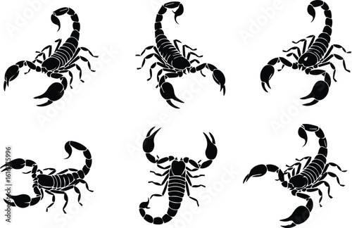  set of scorpion silhouettes, isolated on white background