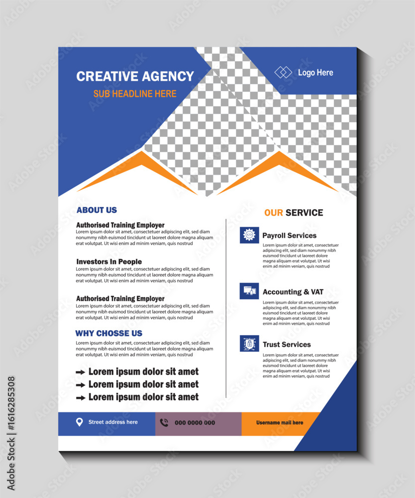 Obraz premium Business Flyer Brochure template catalog, magazine layout design