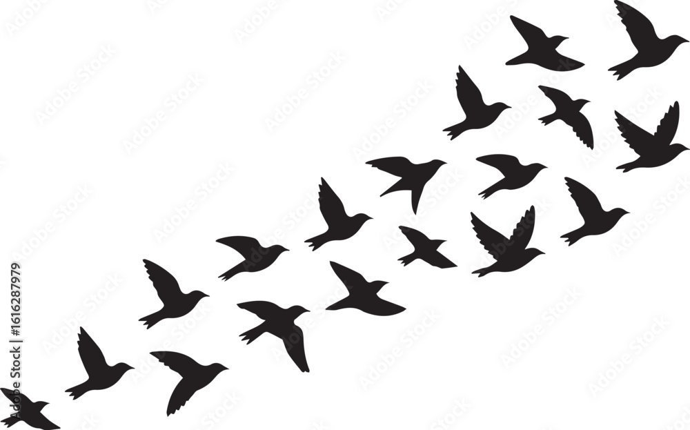 Fototapeta elegant flock of birds flying in formation against abstract sky vector backgroun
