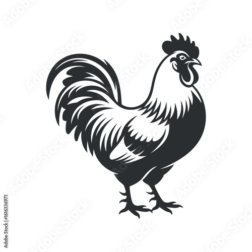 Rooster Silhouette Illustration in Black and White for Farm Animal Graphics and Poultry Designs Vector Image with Clean Lines