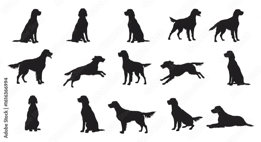 Obraz premium Setter dog silhouettes various poses isolated on a transparent background canine animal