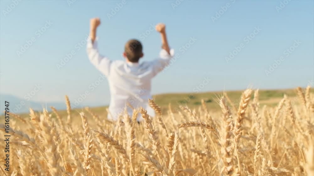 A young man in a white shirt stands in the middle of a rural wheat field, joyfully waving his arms in celebration of success or simply enjoying life. moment of achievement after overcoming obstacles. A young man in a white shirt stands in the middle of a rural wheat field, joyfully waving his arms in celebration of success or simply enjoying life. moment of achievement after overcoming obstacles.