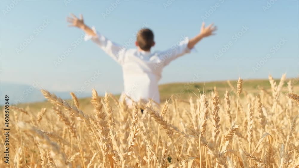A young man in a white shirt stands with arms outstretched in a golden wheat field, seen from behind. Out of focus in the background, he enjoys life, surrounded by ripe wheat ears swaying in the wind. A young man in a white shirt stands with arms outstretched in a golden wheat field, seen from behind. Out of focus in the background, he enjoys life, surrounded by ripe wheat ears swaying in the wind.