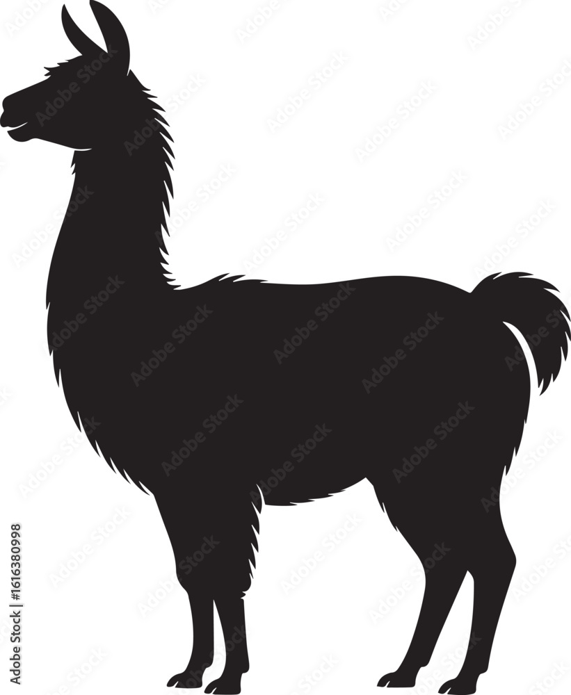 Fototapeta premium Black llama silhouette standing profile view animal white