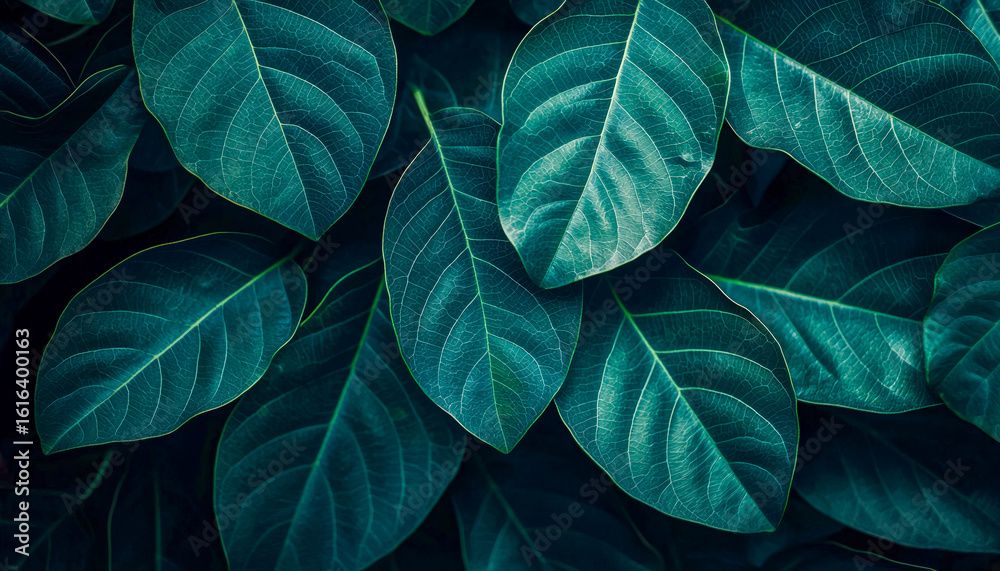 Obraz premium Close-up of vibrant green tropical leaves against a dark background
