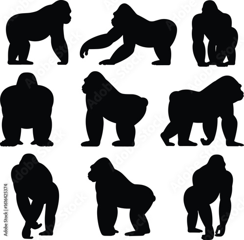 Gorilla silhouette collection, strong muscular ape poses, wild animal vector, black gorilla shapes, powerful primate icons, jungle beast illustration