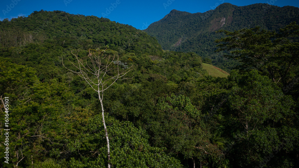 Φωτογραφία Aerial view of a mountainous and preserved region of the Atlantic Forest, a tropical rainforest in Rio de Janeiro, Brazil