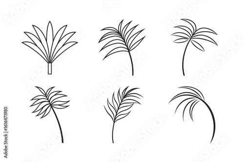 line art coconut leaf branch extending sideways set bundle on the white background