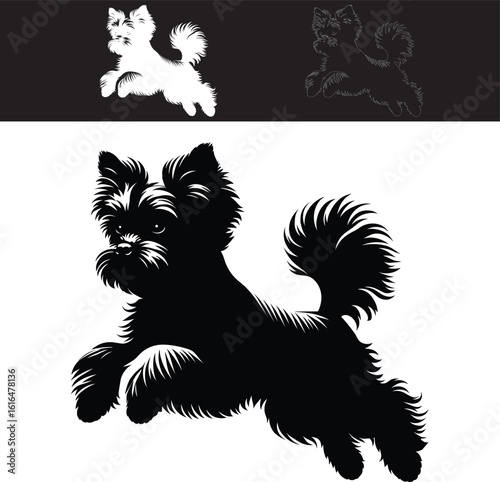 Affenpinscher Lying Down Silhouette