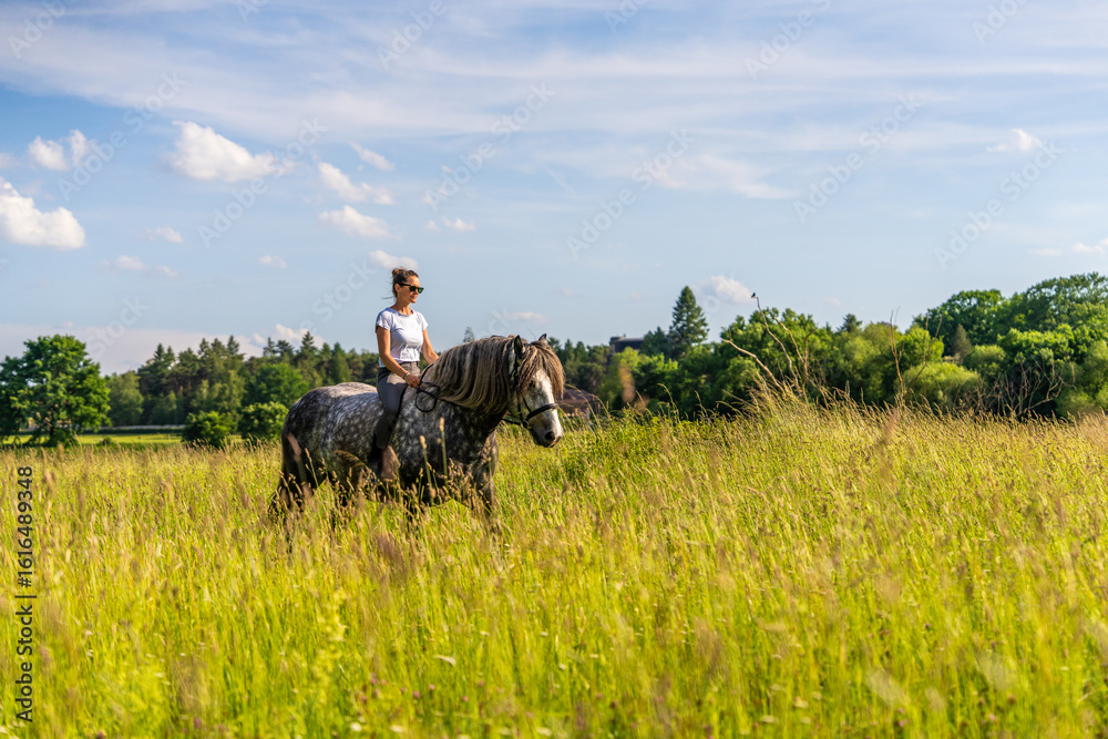 Obraz premium Graceful young woman sitting on dappled gray horse in vibrant grassy field. Soft daylight and open space emphasize simplicity, freedom, and harmony with nature.