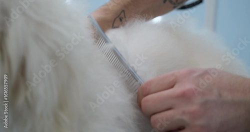 At a pet grooming salon, a middle-aged male groomer is gently brushing out the tangled fur of an adorable Maltipoo dog. An adorable Maltipoo dog being groomed at a pet grooming salon.