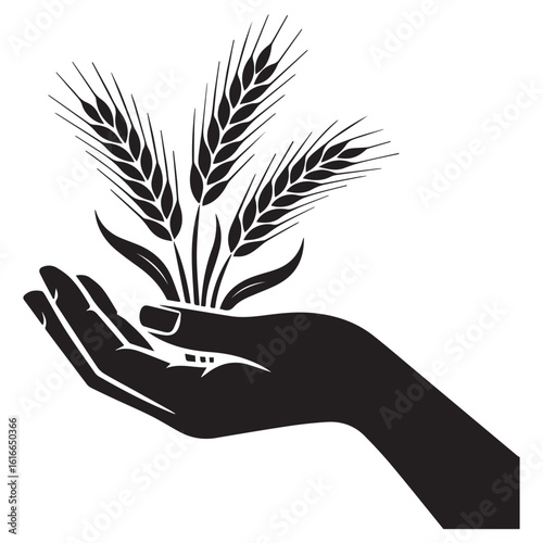 A hand gently holds stalks of wheat, representing the harvest and abundance of agriculture isolated on white background