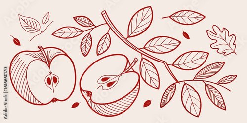 monochromatic vector illustration of cut apples and foliage illustration background.