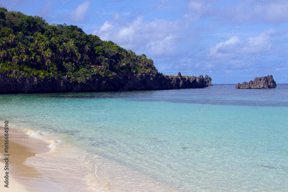 Obraz premium Tropical Cliffs and Clear Turquoise Waters on Roatán Island, Honduras