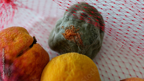Moldy fruit lying in a plastic container