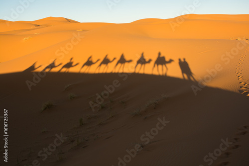 Camel Caravan Casting Long Shadows in the Desert at Sunset