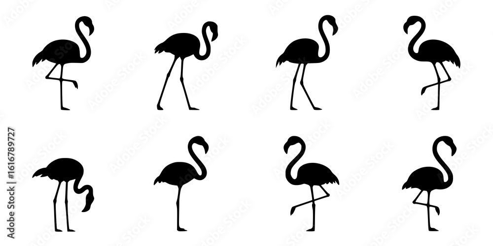 Obraz premium Flamingo Silhouettes: A set of elegant black and white flamingo illustrations showcasing various poses, ideal for design projects.