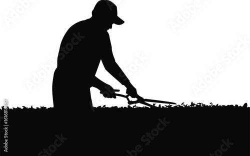 Gardener Trimming Hedge with Shears Silhouette in Black and White