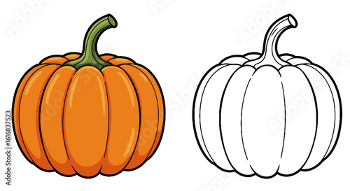 Orange and white pumpkins for coloring book for children  
