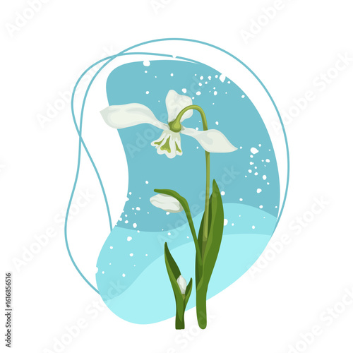 Colorful botanical, spring composition with flowers and snowdrop buds on the background of falling snow. Vector graphics.