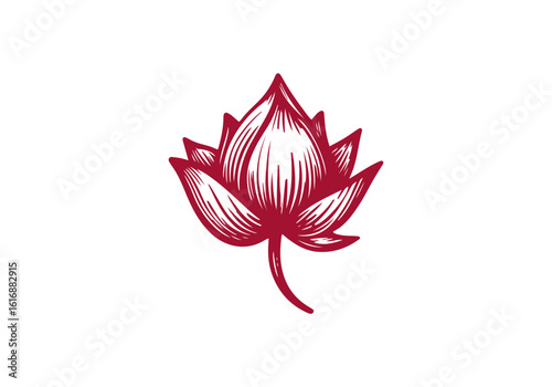 Lotus Flower hand drawn sketch vector illustration