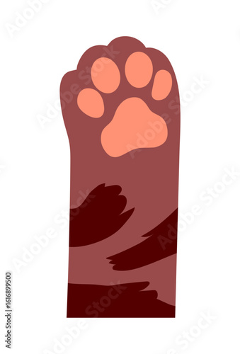 Animal paw print collection