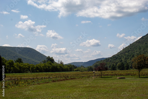landscape with mountains and blue sky