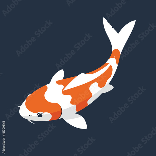 Elegant Koi Fish with Orange and White Markings.