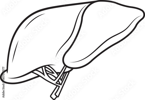 Ilustración médica detallada de un hígado sano, ideal para materiales educativos y publicaciones de atención médica.