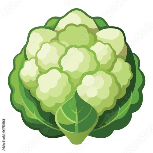Fresh healthy cauliflower vegetable isolated on white background
