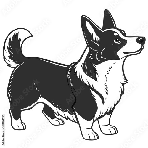 Stylized black and white illustration of a pembroke welsh corgi standing