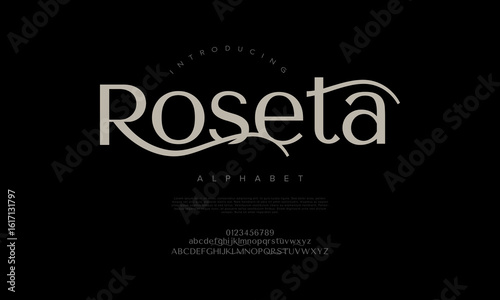 Stylish serif font with decorative swashes, perfect for branding, fashion, and wedding designs