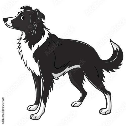 Cartoon border collie dog standing alert