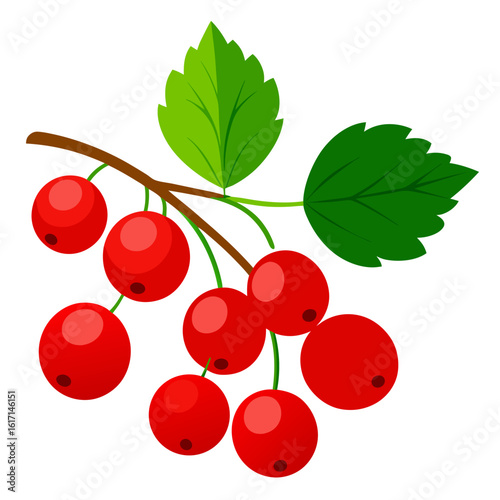 red currants with leaves
