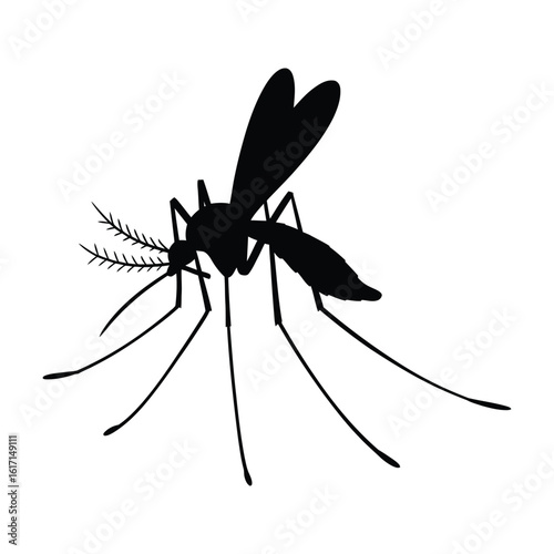 Mosquito Insect Silhouette - Disease Vector Pest Icon