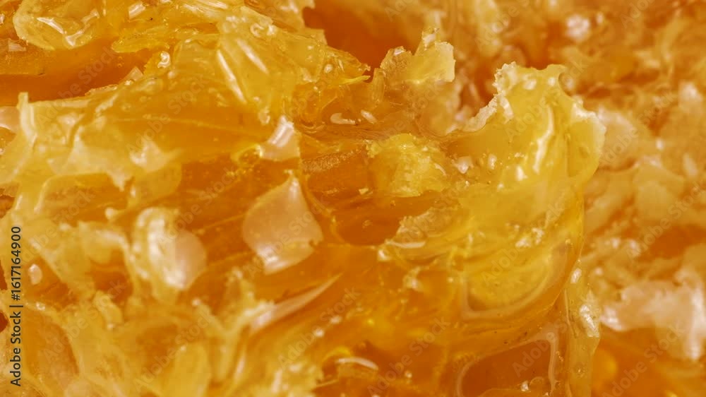 Pieces of honeycomb with golden honey rotate on a white plate. Close-up of wax cells with bee honey. Shooting macro. Healthy eating concept. Pieces of honeycomb with golden honey rotate on a white plate. Close-up of wax cells with bee honey. Shooting macro. Healthy eating concept.
