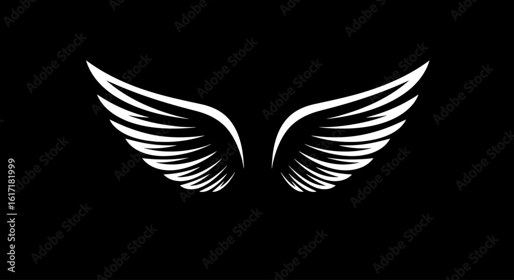 Obraz premium Elegant white wings against a black background, a symbolic design.