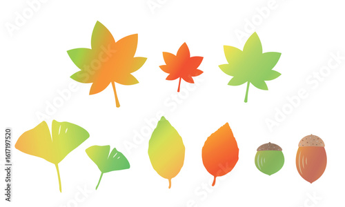 Collection of autumn leaves. cute icons. Autumn elements clip art.