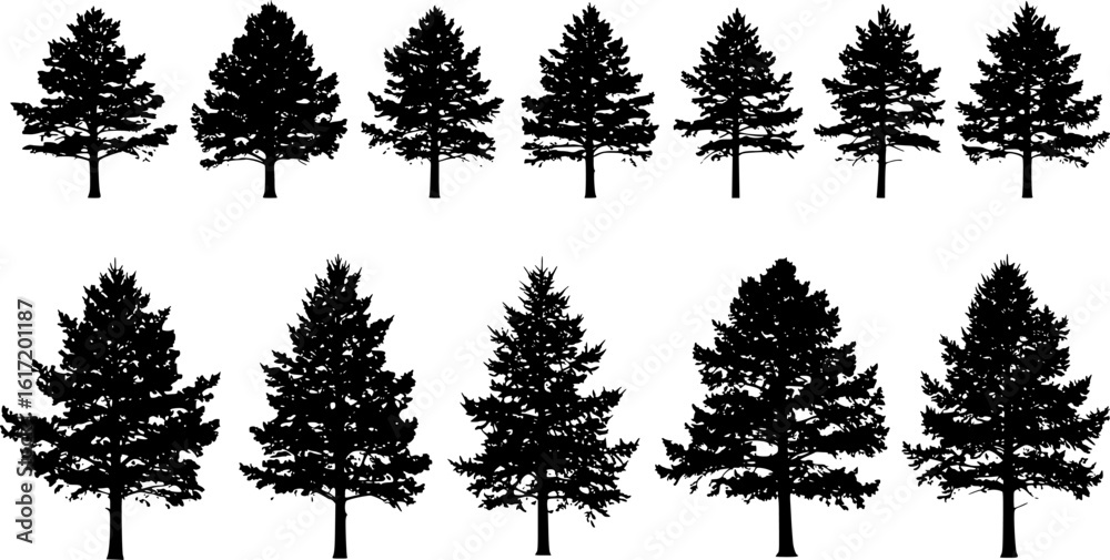 Fototapeta premium small pine tree silhouettes on the white background