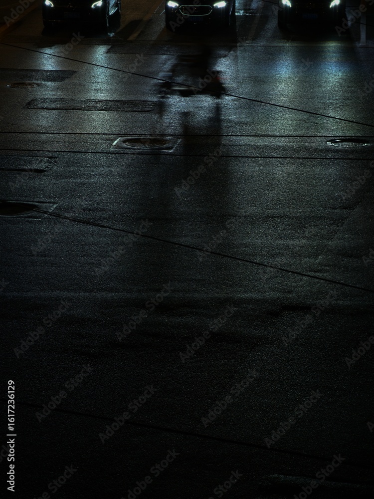 Obraz premium the street after rain