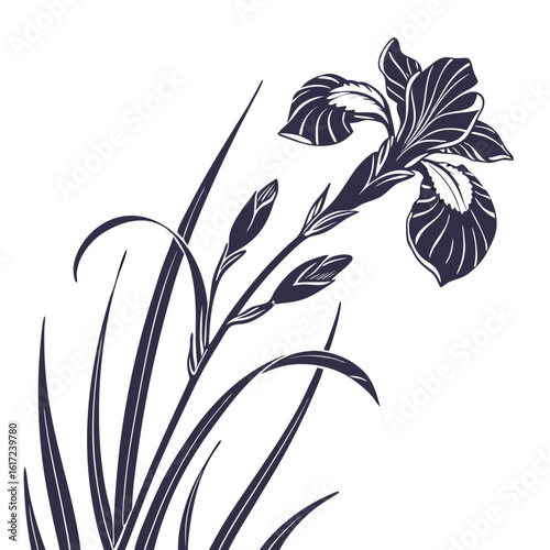 abstract floral background with iris siberian