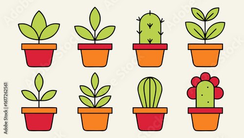 Vibrant collection of potted houseplants designed for home and office decor featuring a variety of green foliage and decorative planters