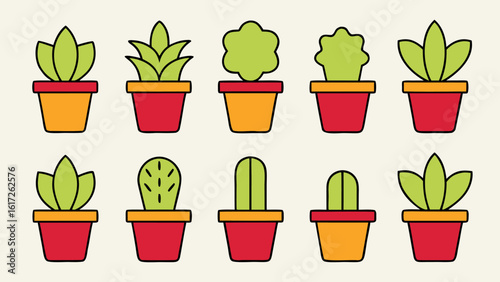 A charming composition featuring various potted house plants perfect for enhancing home and office interiors with natural greenery and decorative elements