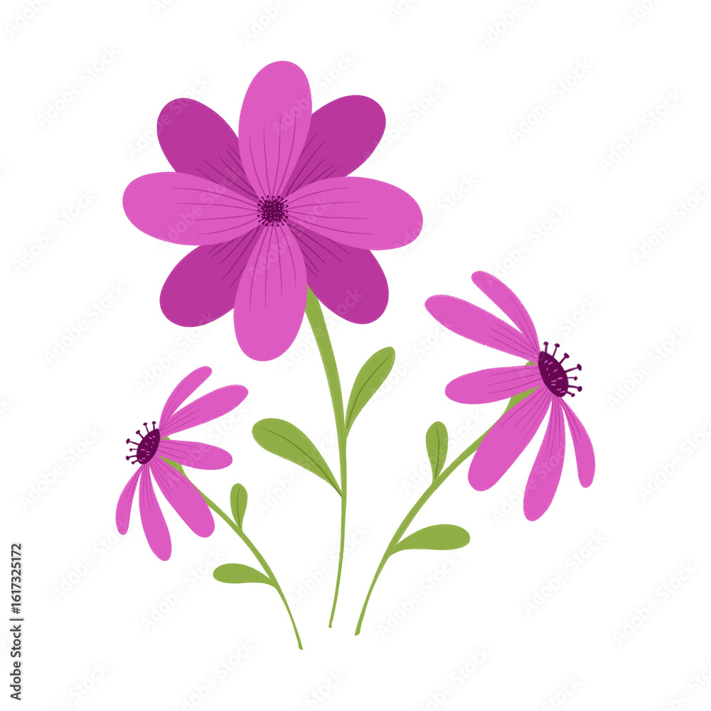 Fototapeta premium pink flowers on white background