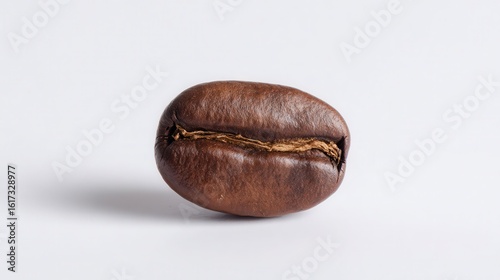 Close-up of a single roasted coffee bean.