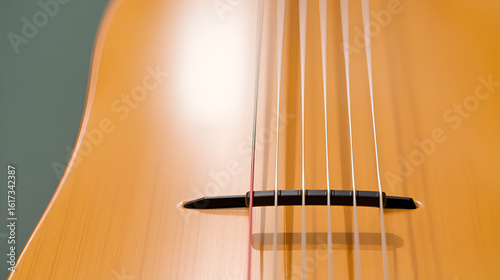 Zither - stringed instrument - close up view