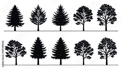 Diverse evergreen and deciduous tree silhouettes trees