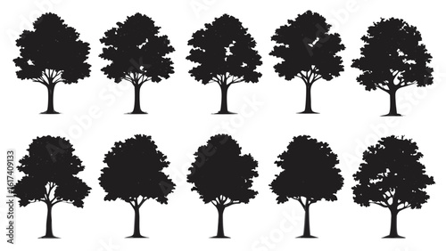 Diverse tree silhouettes black and white trees nature