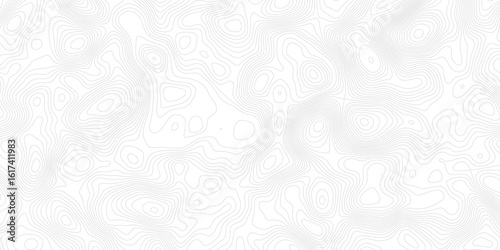 a topographic map with gray contour lines, set against a white background, depicting elevation changes in an abstract representation
